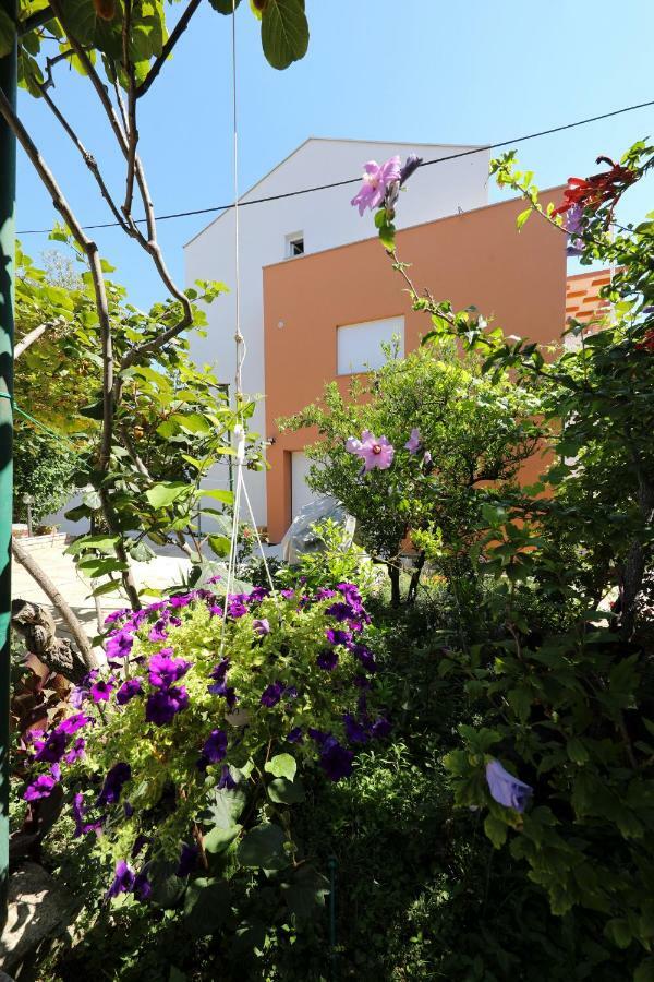 Apartments Ivanov زادار المظهر الخارجي الصورة